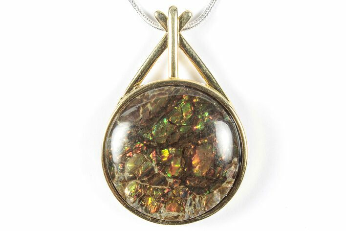 Brilliant Ammolite Pendant (Necklace) - Alberta, Canada #352204